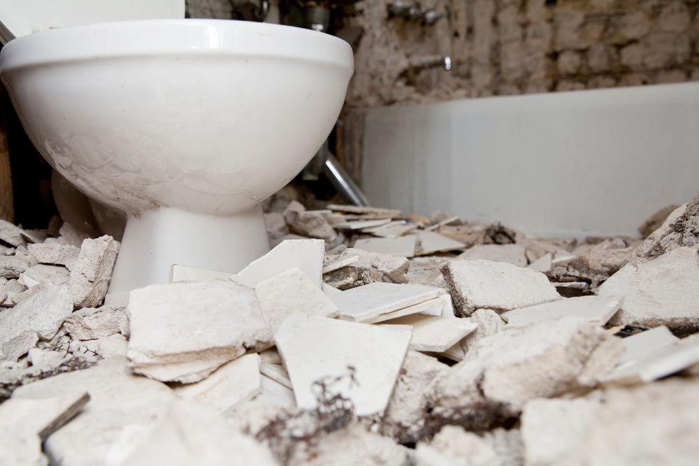 Bathroom Demolition