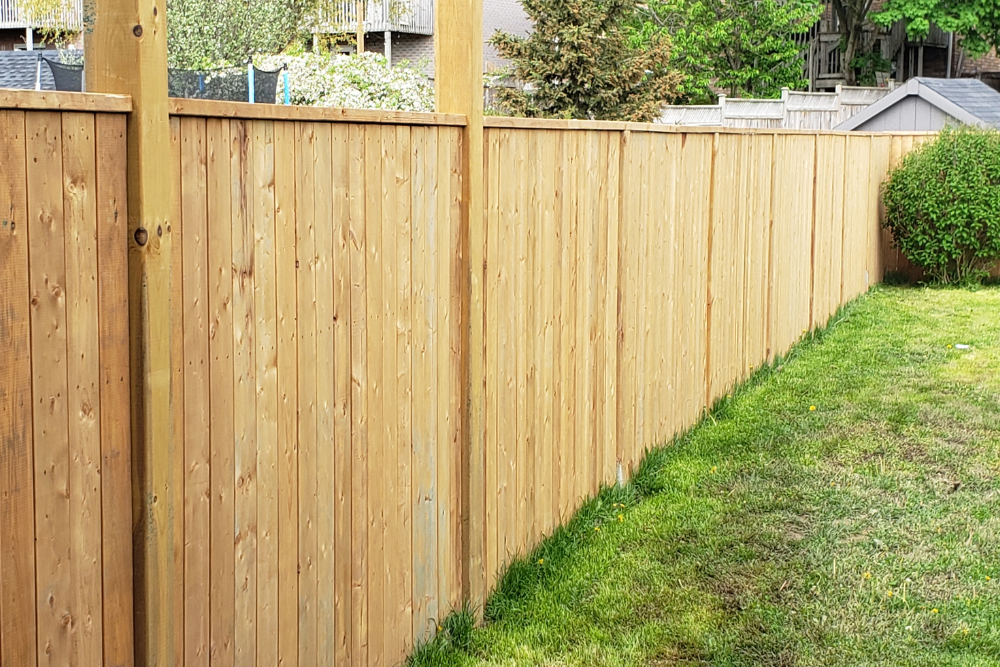 Fence Removal