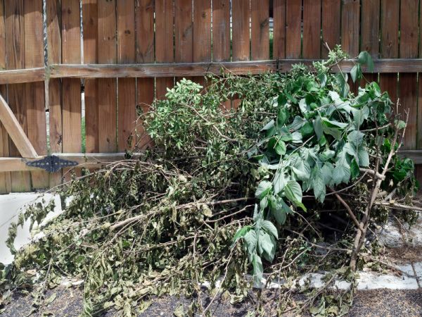 Yard Waste Removal